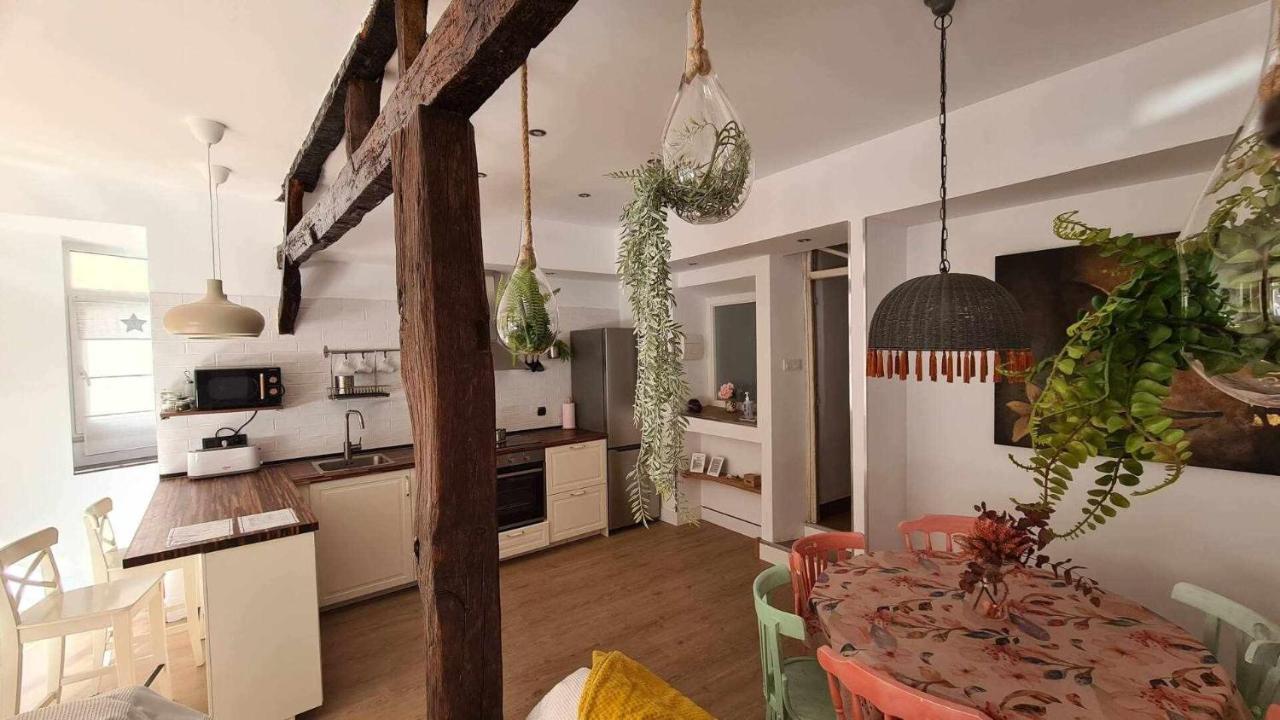 Apartamento Ichigoichie Lekeitio Exteriör bild